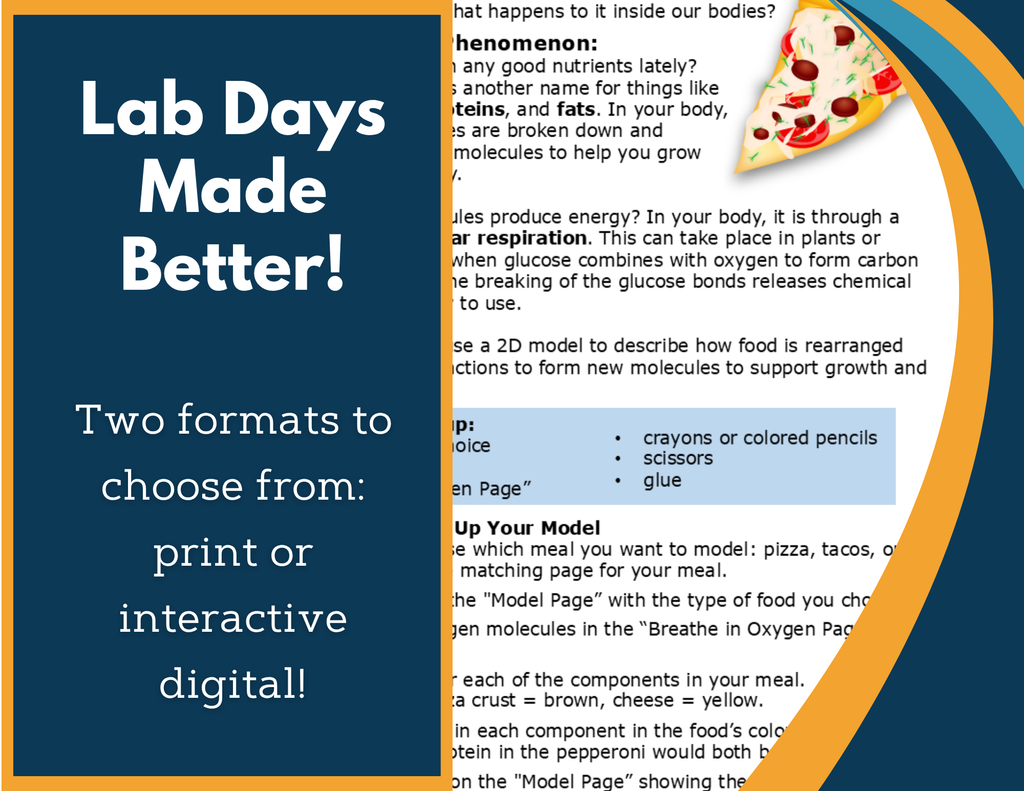 Food & Chemical Reactions Digital Inquiry Lab - NGSS MS LS1-7