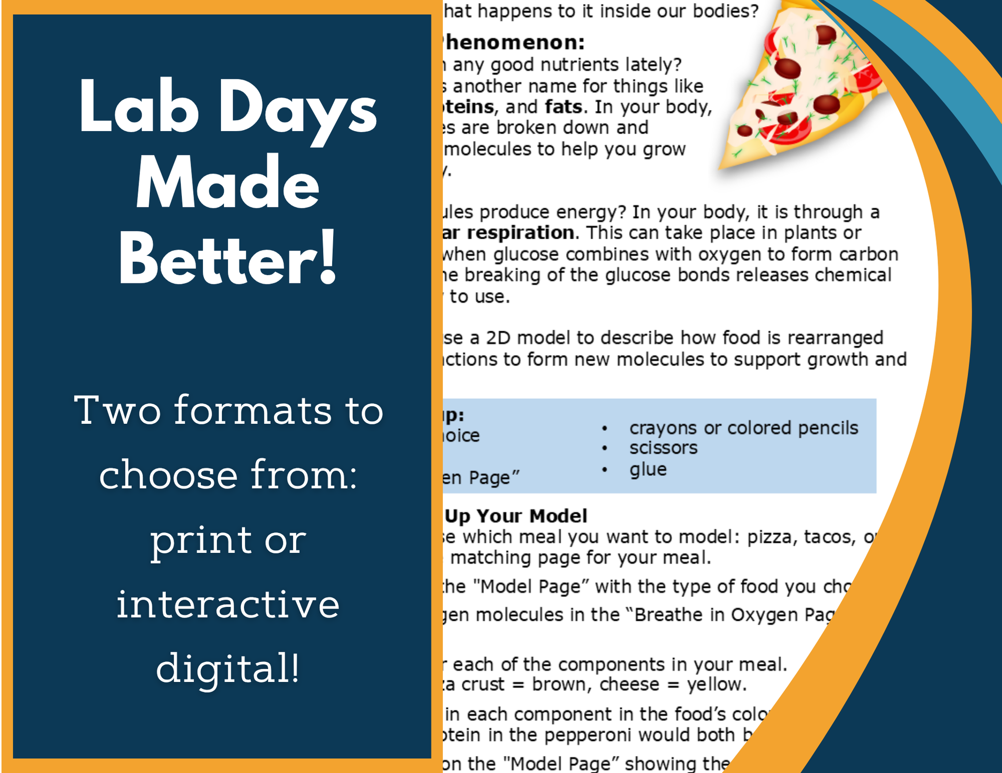 Food & Chemical Reactions Digital Inquiry Lab - NGSS MS LS1-7