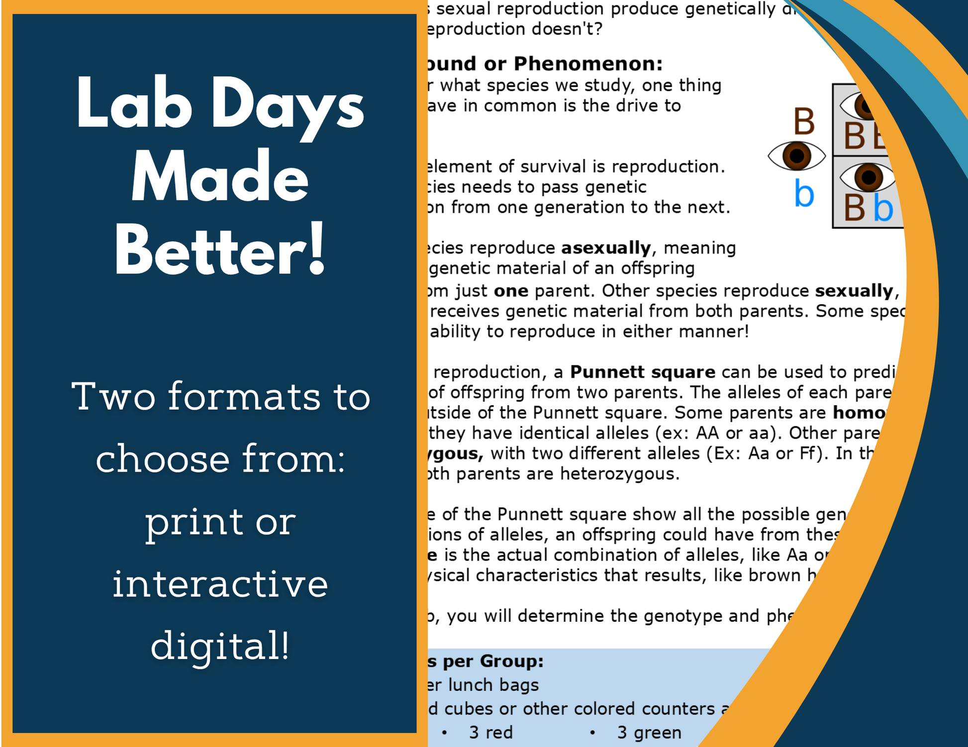Models for Genetic Variation Digital Inquiry Lab - NGSS MS LS3-2