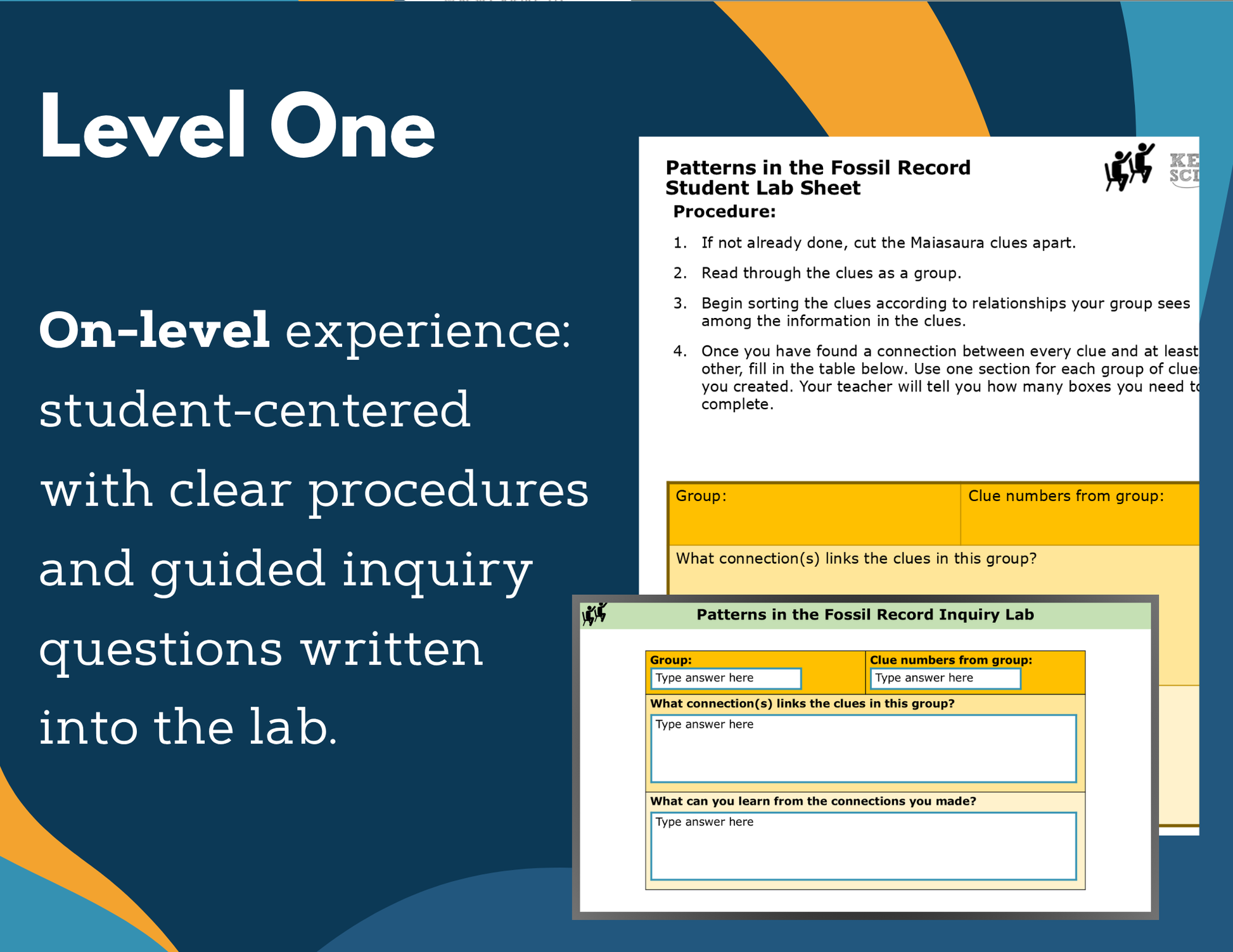 Patterns in the Fossil Record Digital Inquiry Lab - NGSS MS LS4-1