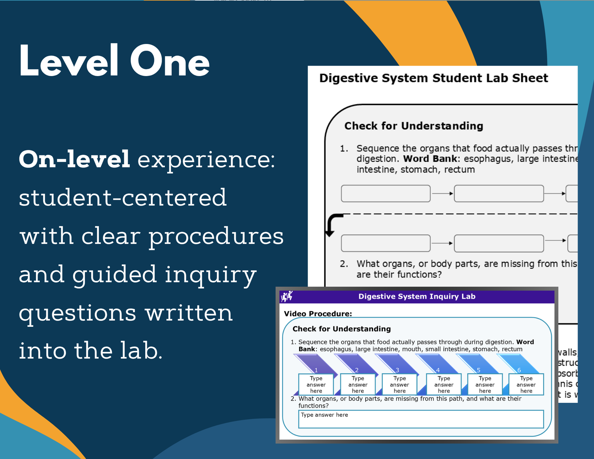 Digestive System Digital Inquiry Lab - MS 6-8
