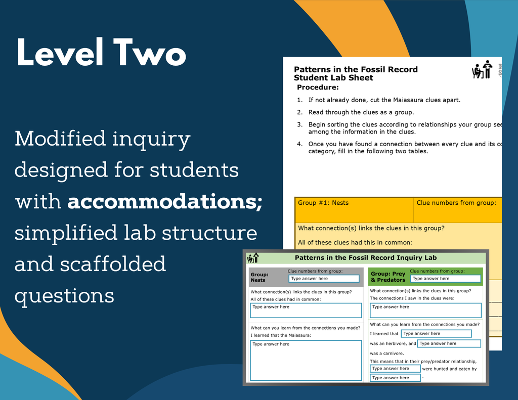 Patterns in the Fossil Record Digital Inquiry Lab - NGSS MS LS4-1