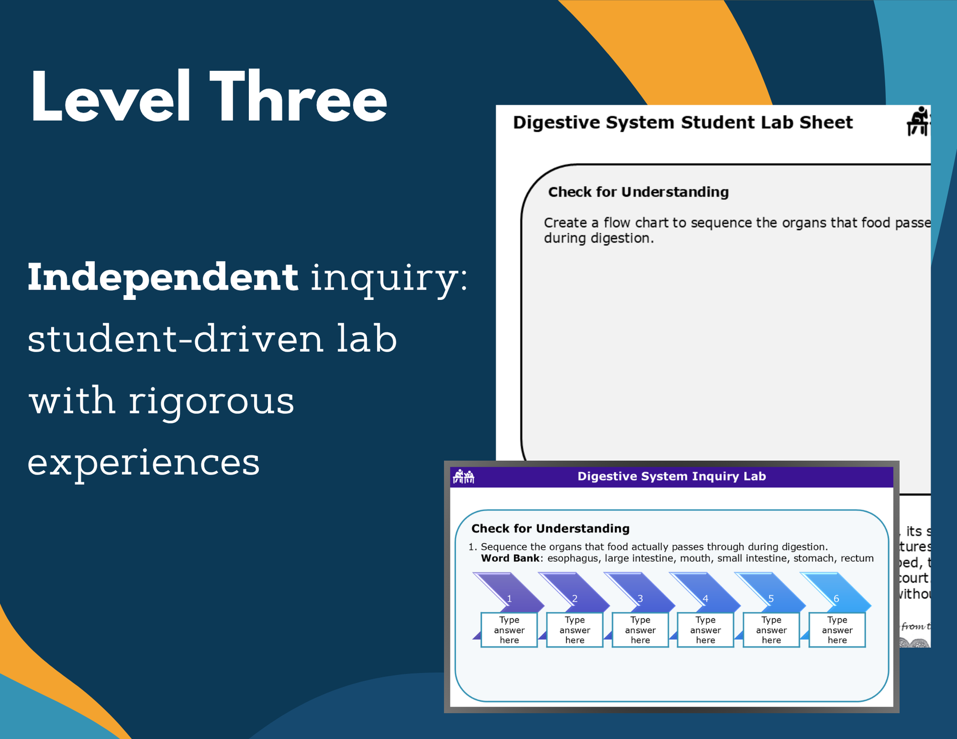 Digestive System Digital Inquiry Lab - MS 6-8