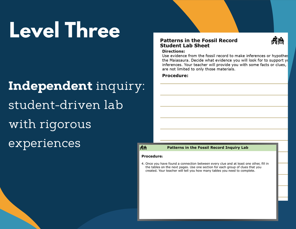 Patterns in the Fossil Record Digital Inquiry Lab - NGSS MS LS4-1