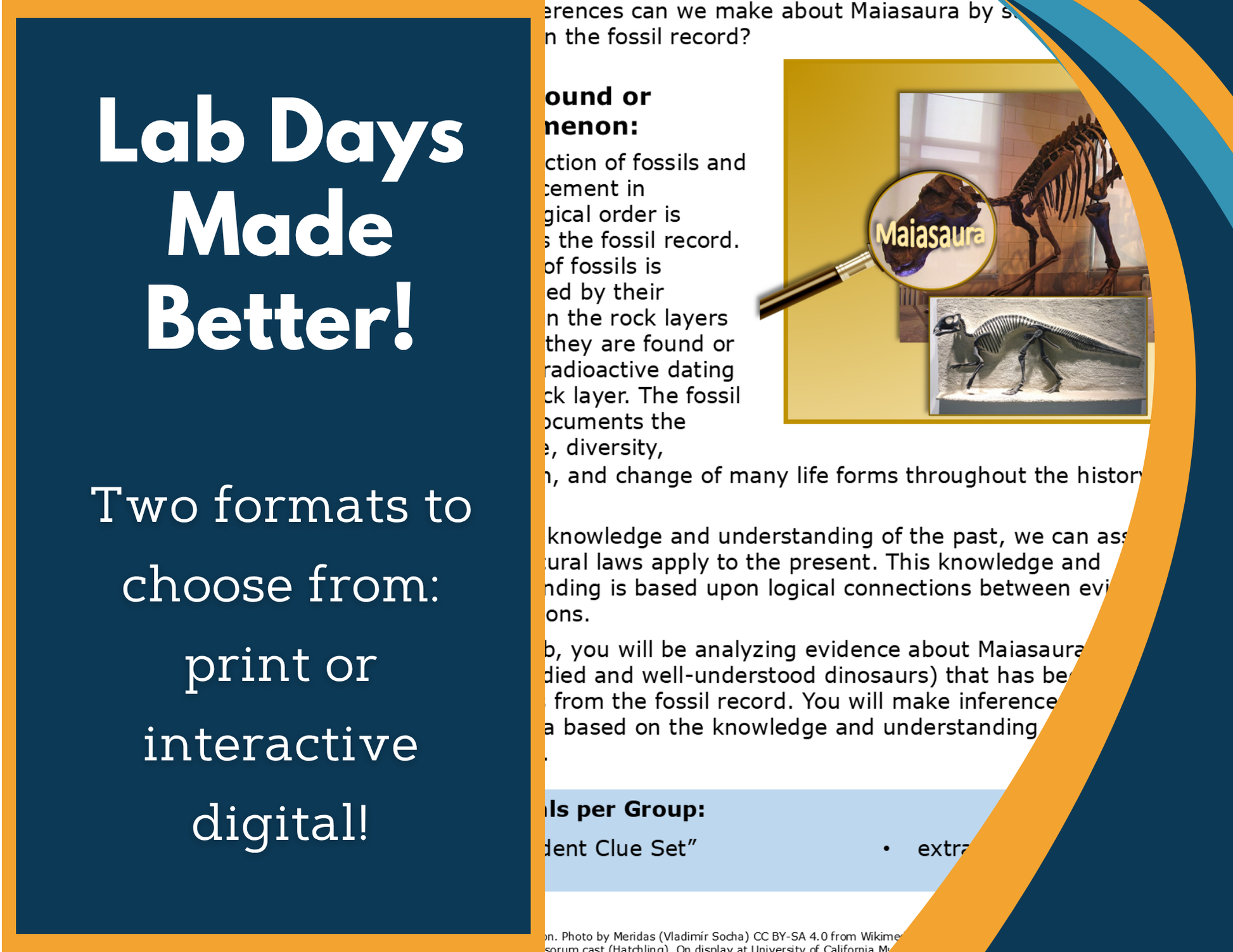 Patterns in the Fossil Record Digital Inquiry Lab - NGSS MS LS4-1