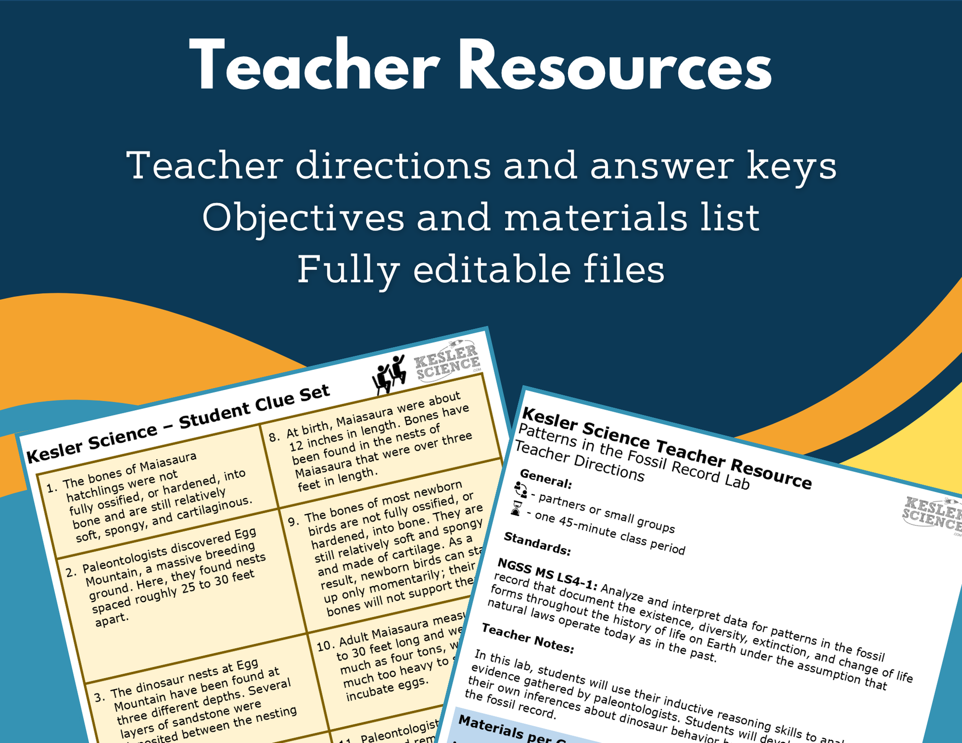 Patterns in the Fossil Record Digital Inquiry Lab - NGSS MS LS4-1