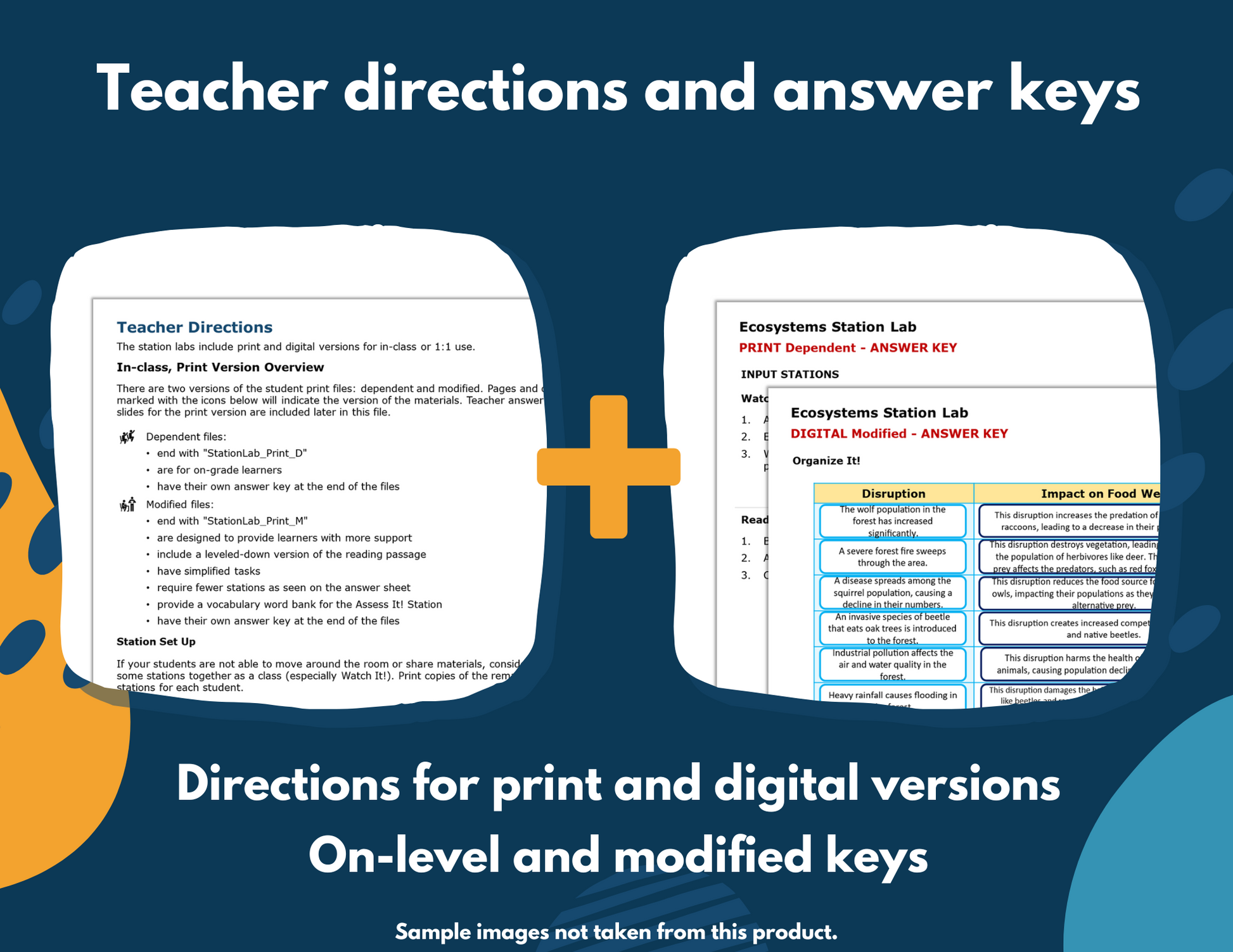 Characteristics of Kingdoms Station Lab -New TEKS 7.14B