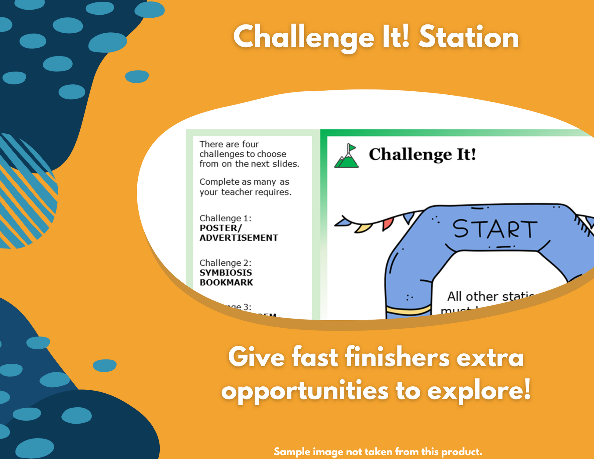 Adaptations for Survival Station Lab - New TEKS 8.13C