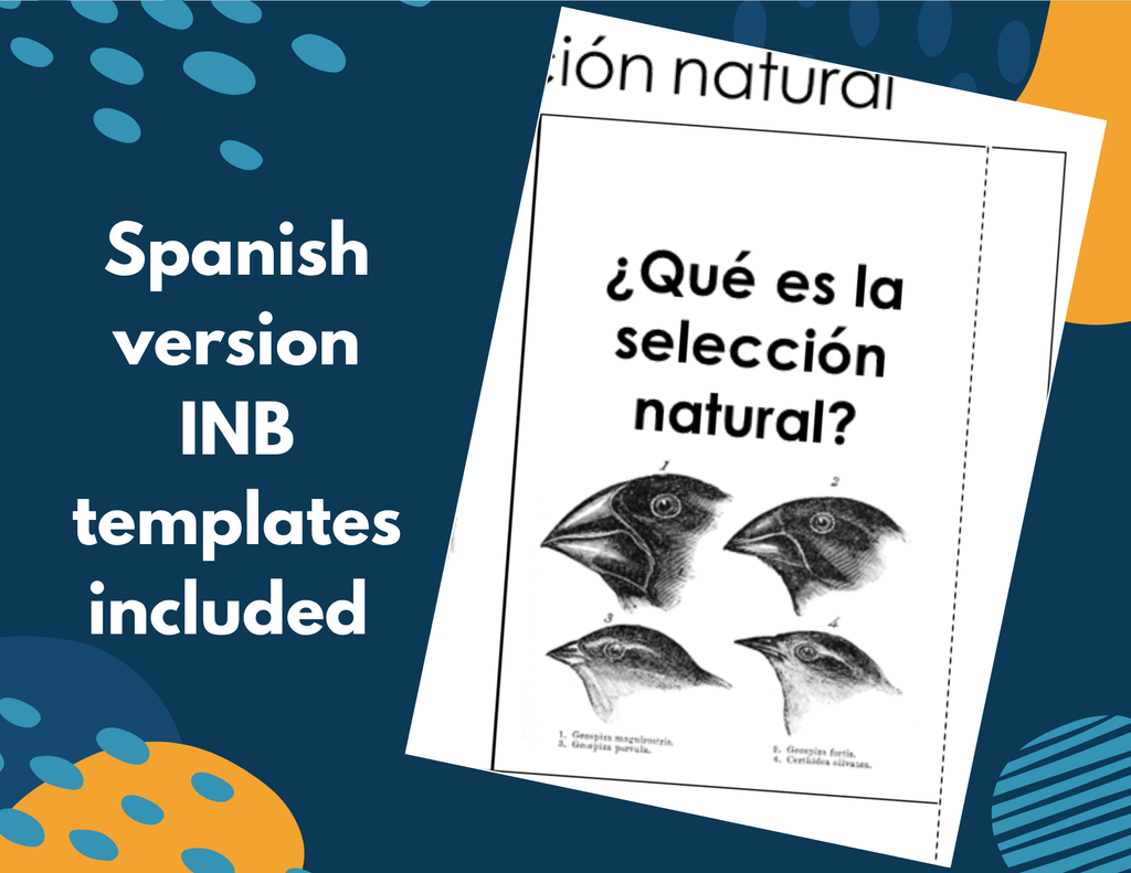 Natural Selection Complete Lesson Plan - MS