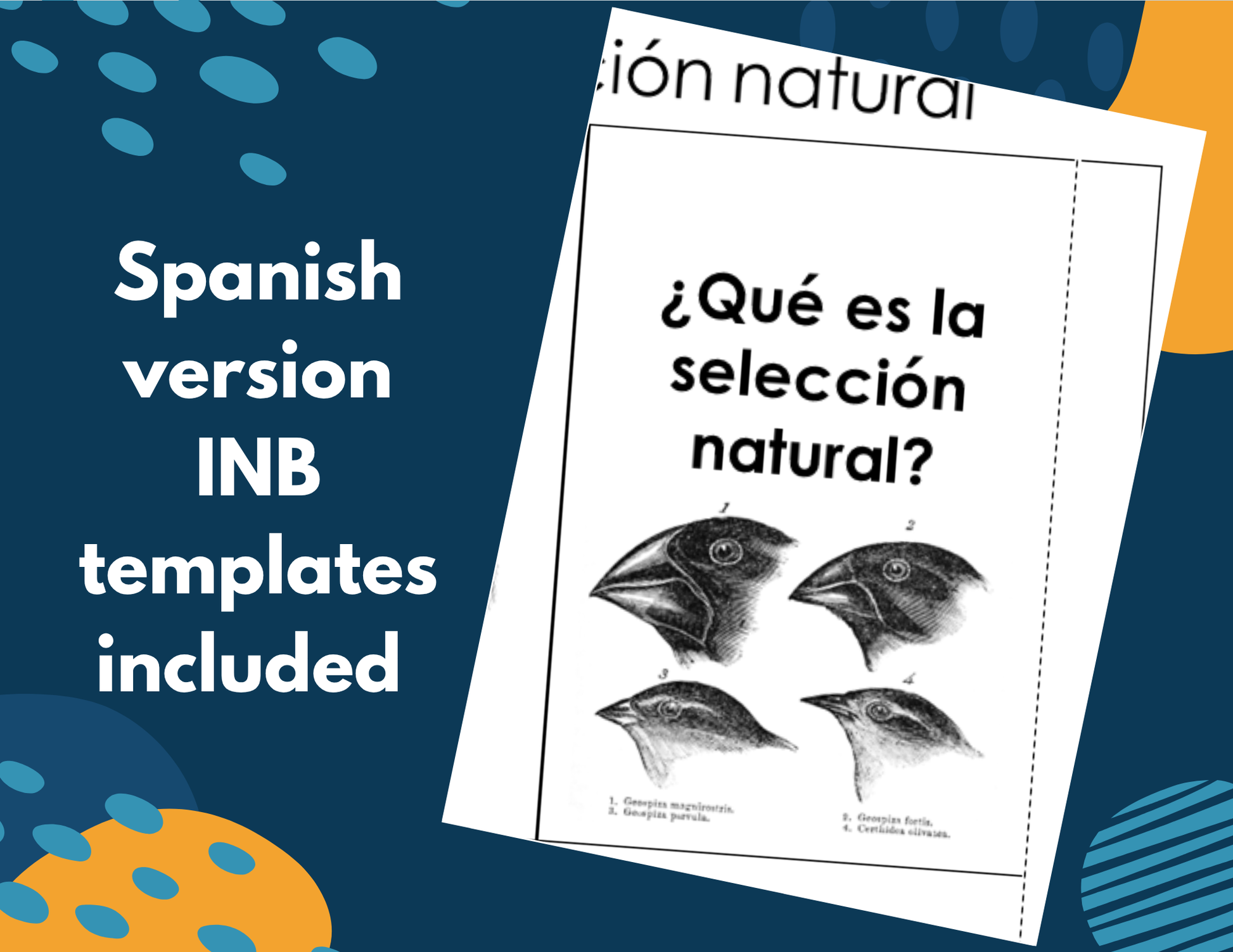 Natural Selection Complete Lesson Plan - MS