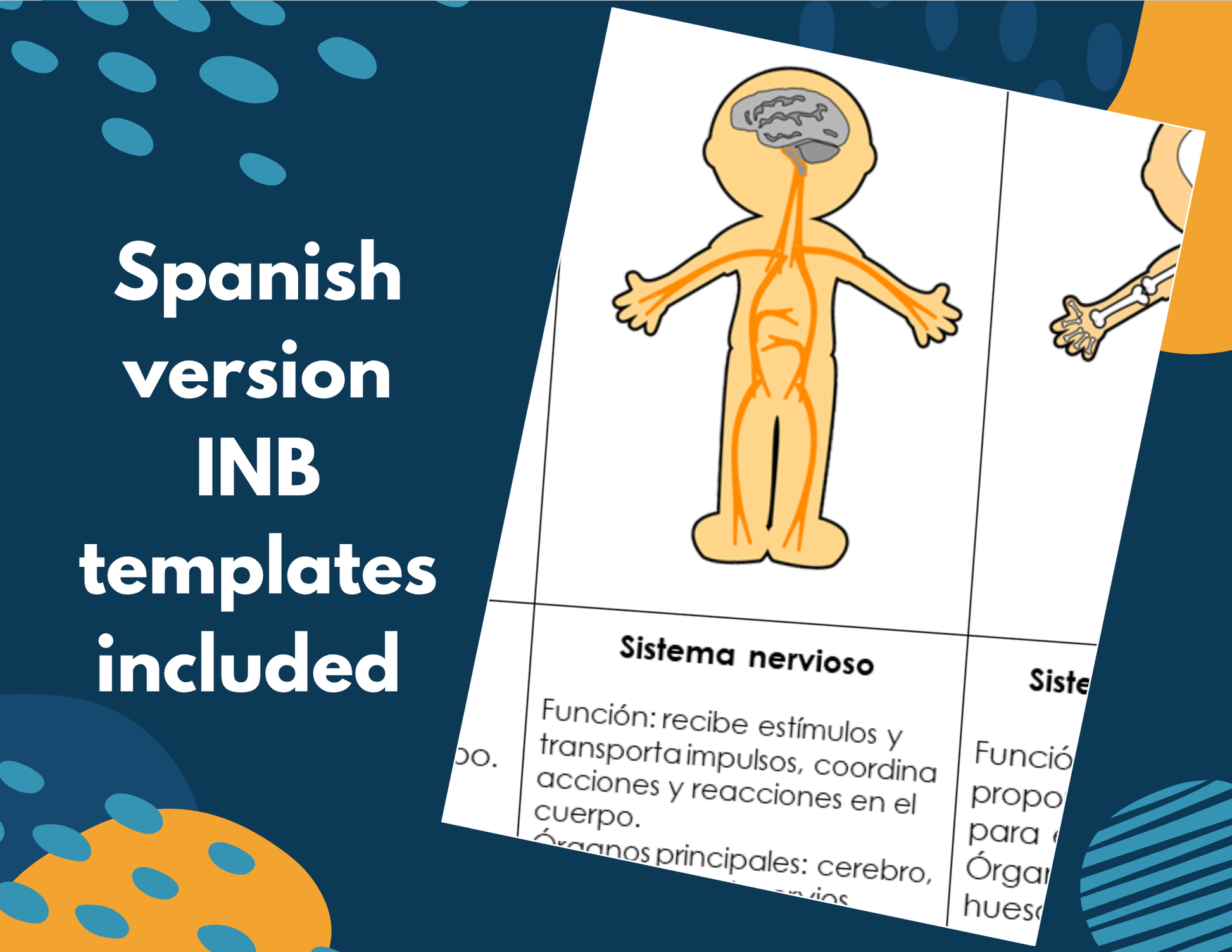 Nervous System Complete Lesson Plan - MS