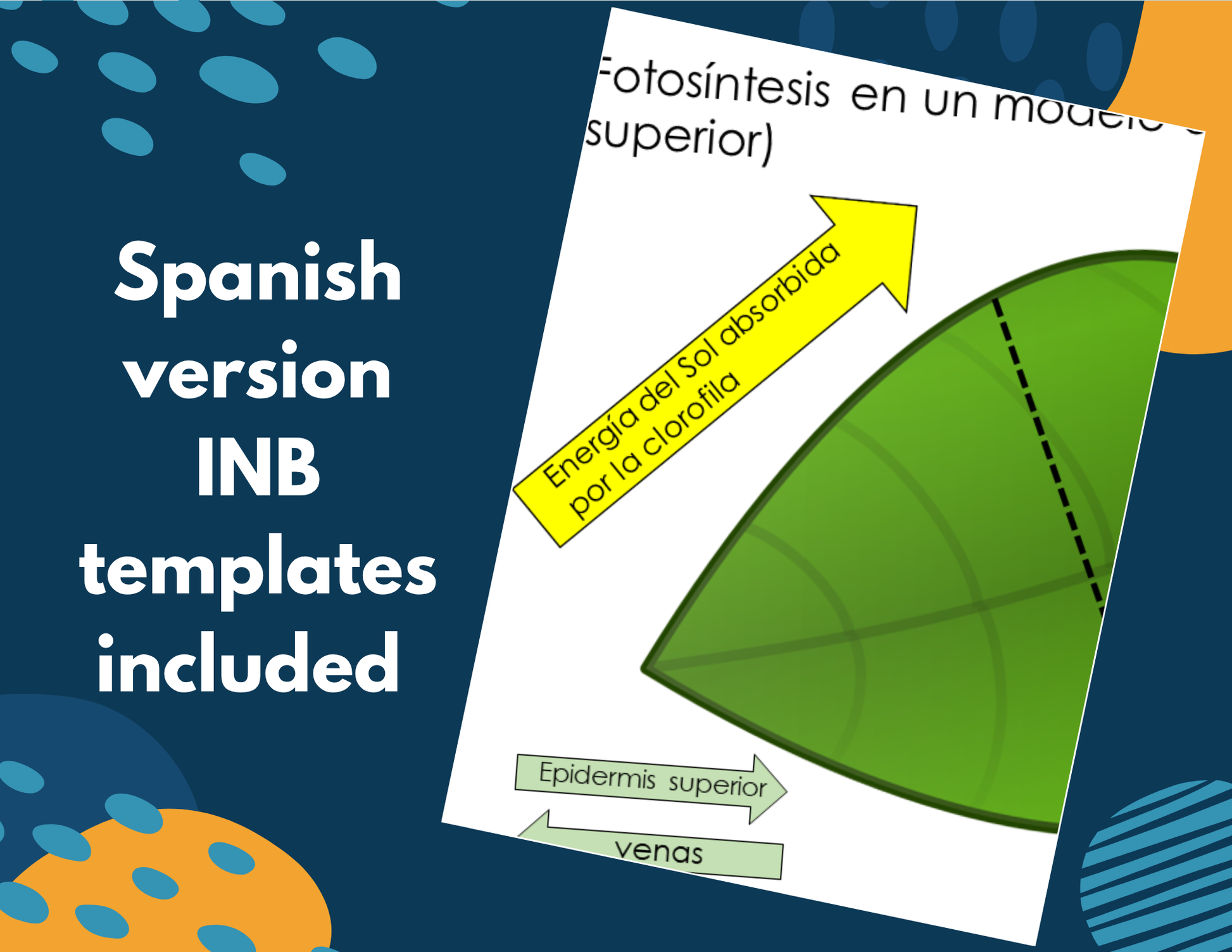 Photosynthesis Complete Lesson Plan - MS