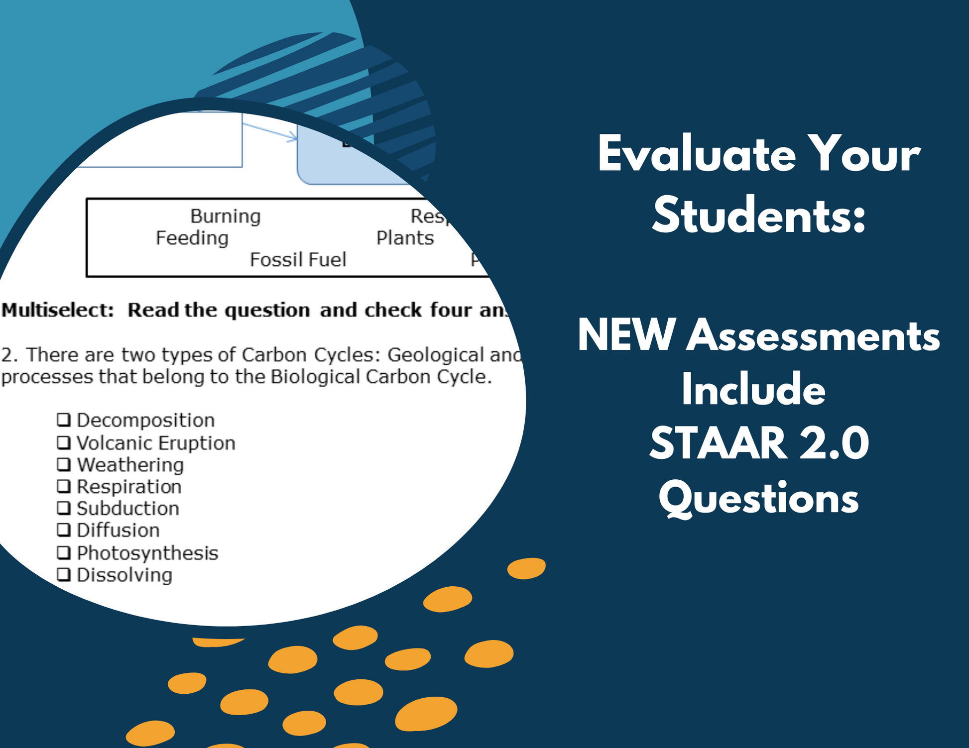 Carbon Cycle Complete Lesson Plan - MS