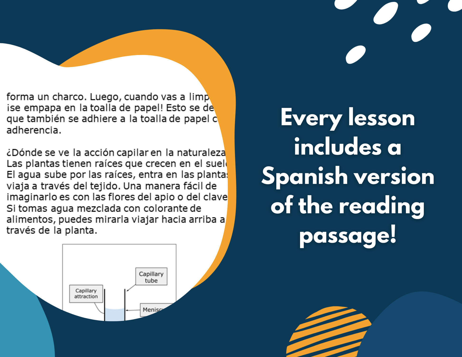 Properties of Water Complete Lesson Plan - MS