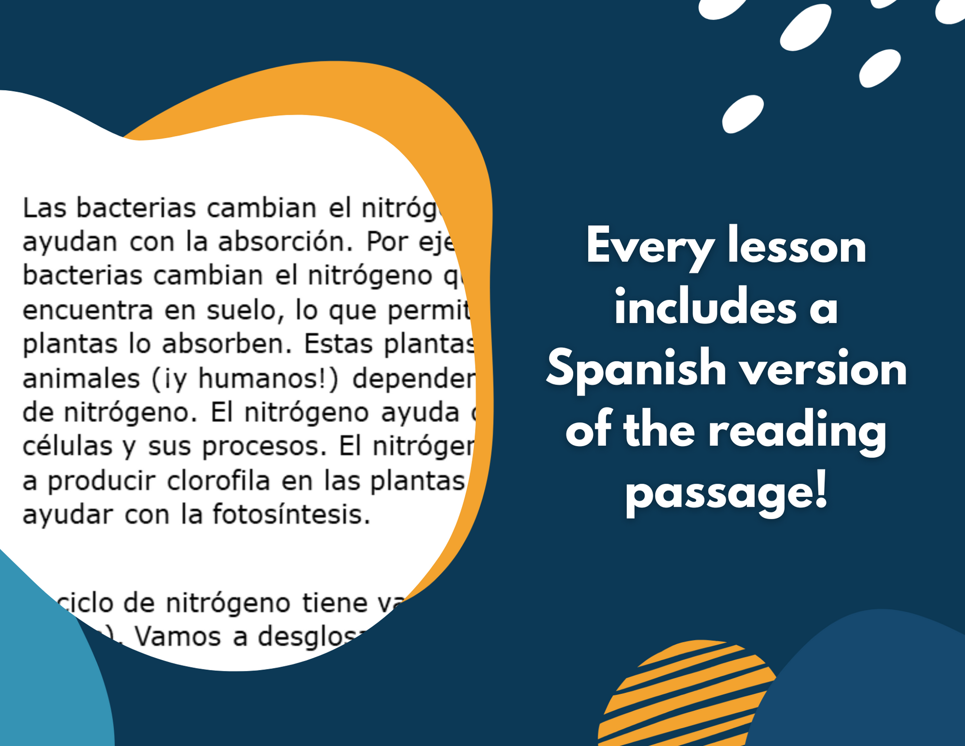 Nitrogen Cycle Complete Lesson Plan - MS