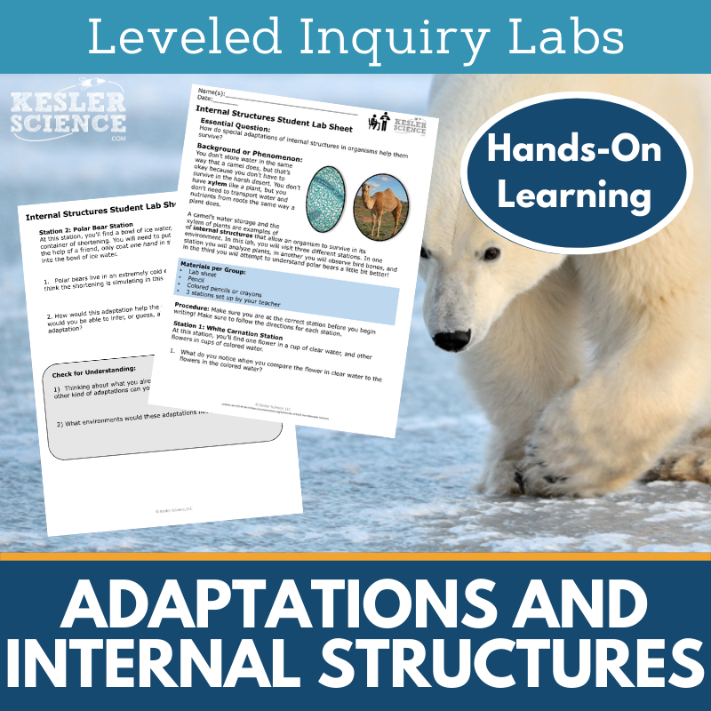 Adaptations and Internal Structures Inquiry Lab - MS 6-8 Science TEKS