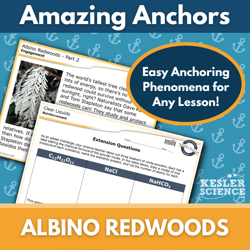 Amazing Anchors Photosynthesis (Albino Redwoods) - MS 6-8
