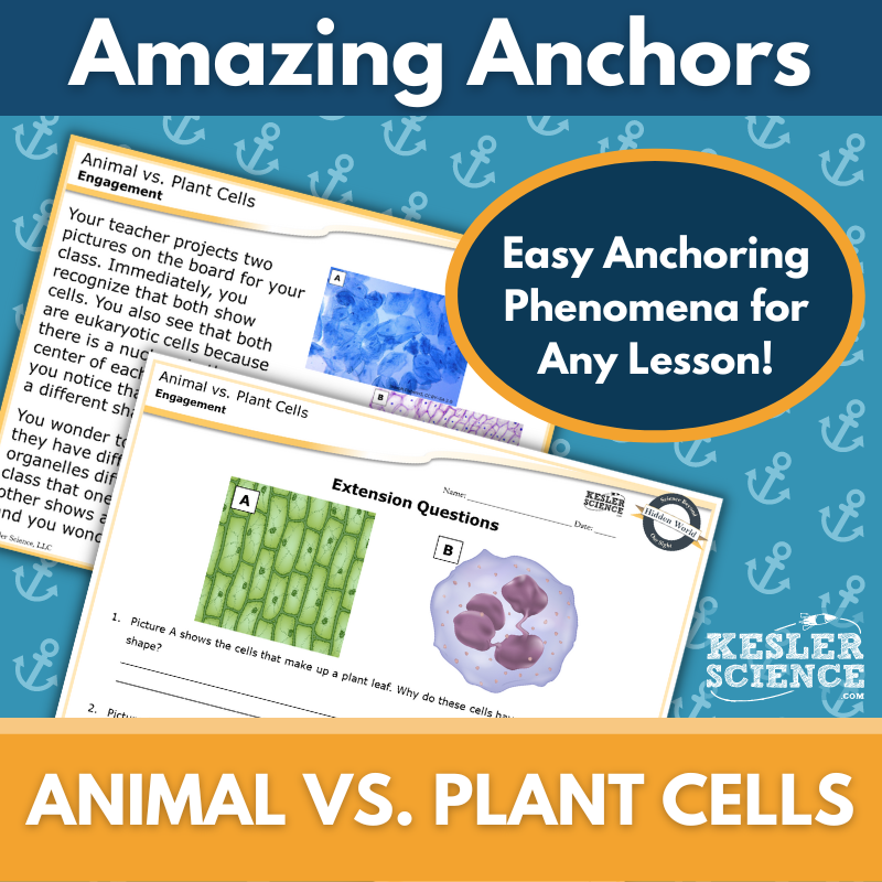 Amazing Anchors Plant vs Animal Cells - MS 6-8