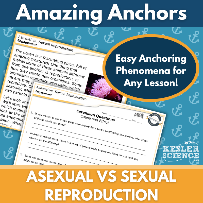 Amazing Anchors Sexual vs Asexual Reproduction - NGSS MS LS3-2