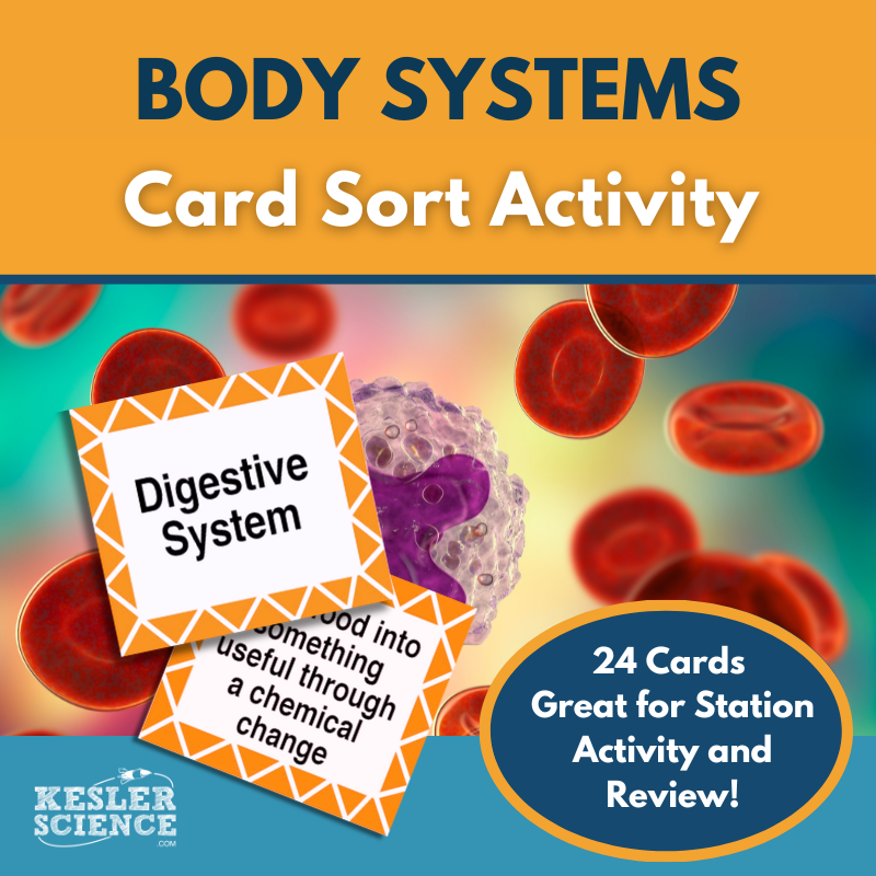 Body Systems Card Sort or Lab Station Activity