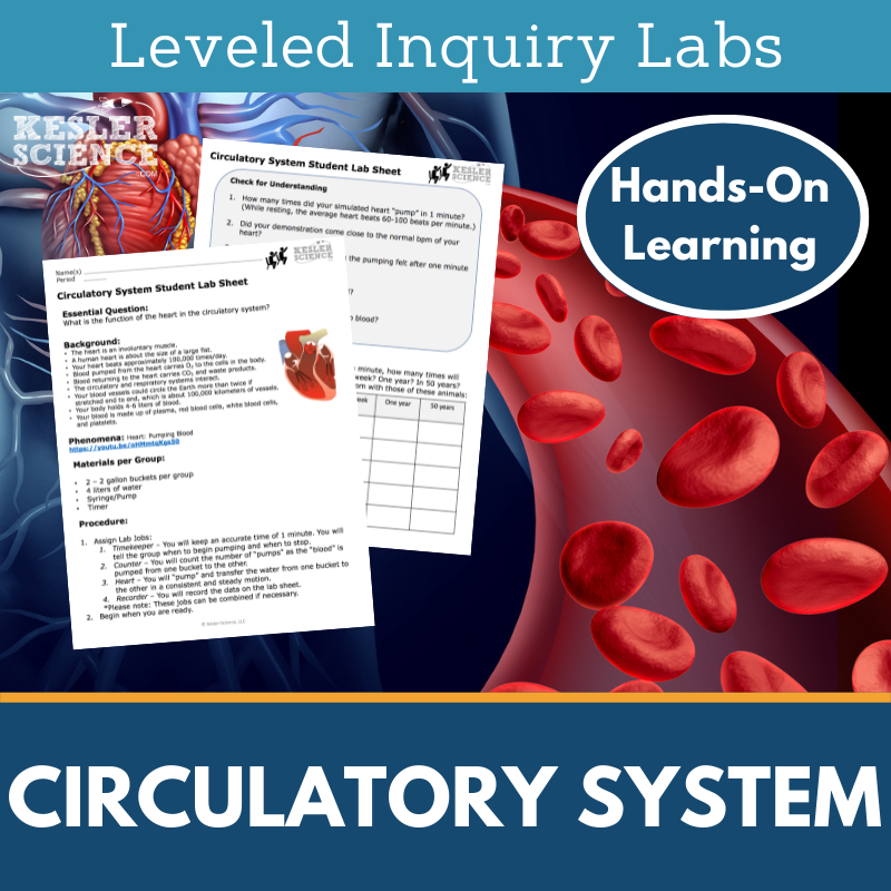 Circulatory System Inquiry Lab - MS 6-8 Science