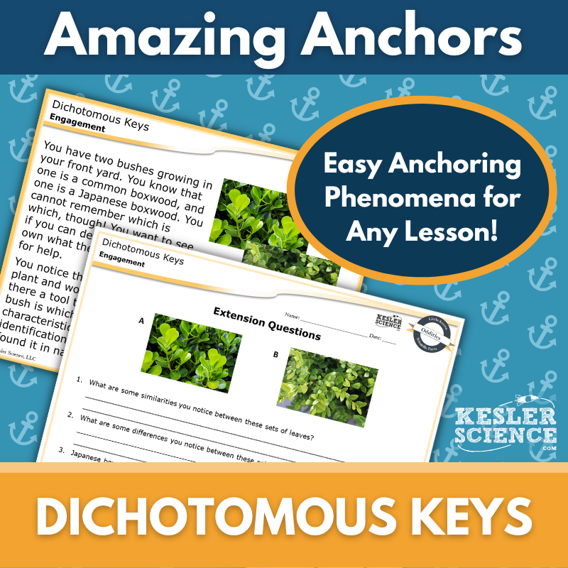 Amazing Anchors Dichotomous Keys - MS 6-8