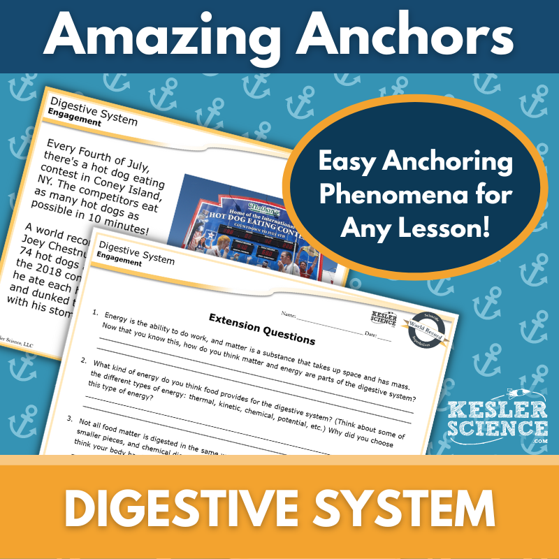 Amazing Anchors - Digestive System - MS 6-8