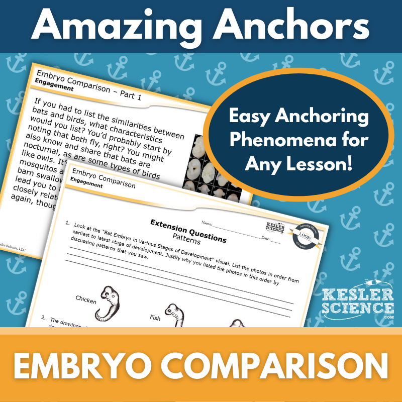 Amazing Anchors Comparative Embryology - NGSS MS LS4-3