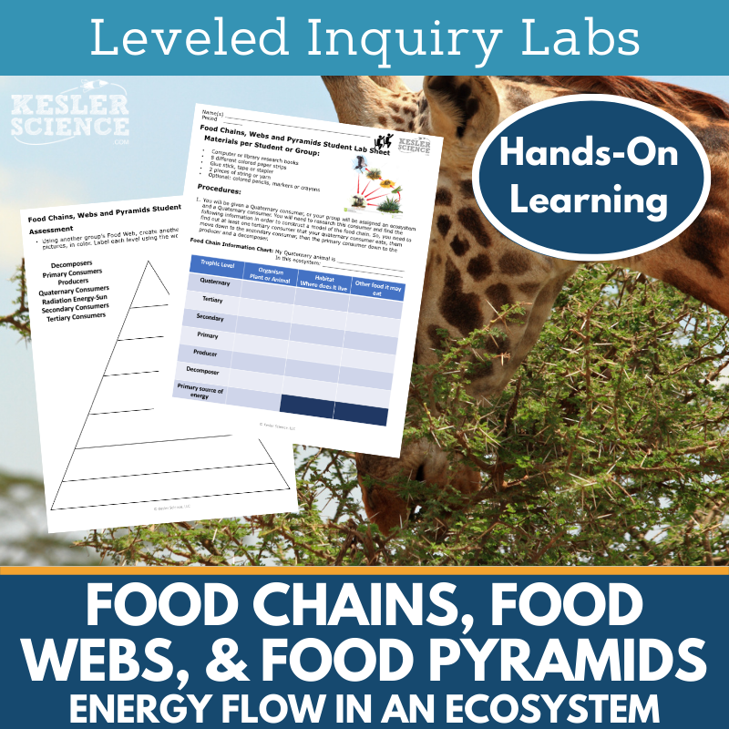 Food Chains, Webs, & Energy Pyramids Inquiry Lab - NGSS MS LS1-6, TEKS 6-8