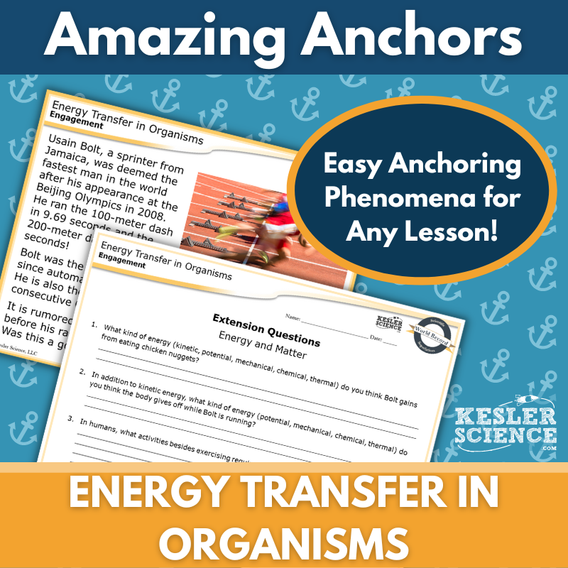 Amazing Anchors Energy Transfer in Organisms - MS 6-8