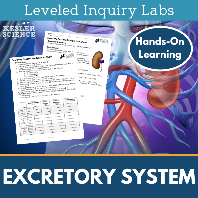 Excretory System Inquiry Lab - MS 6-8 Science TEKS