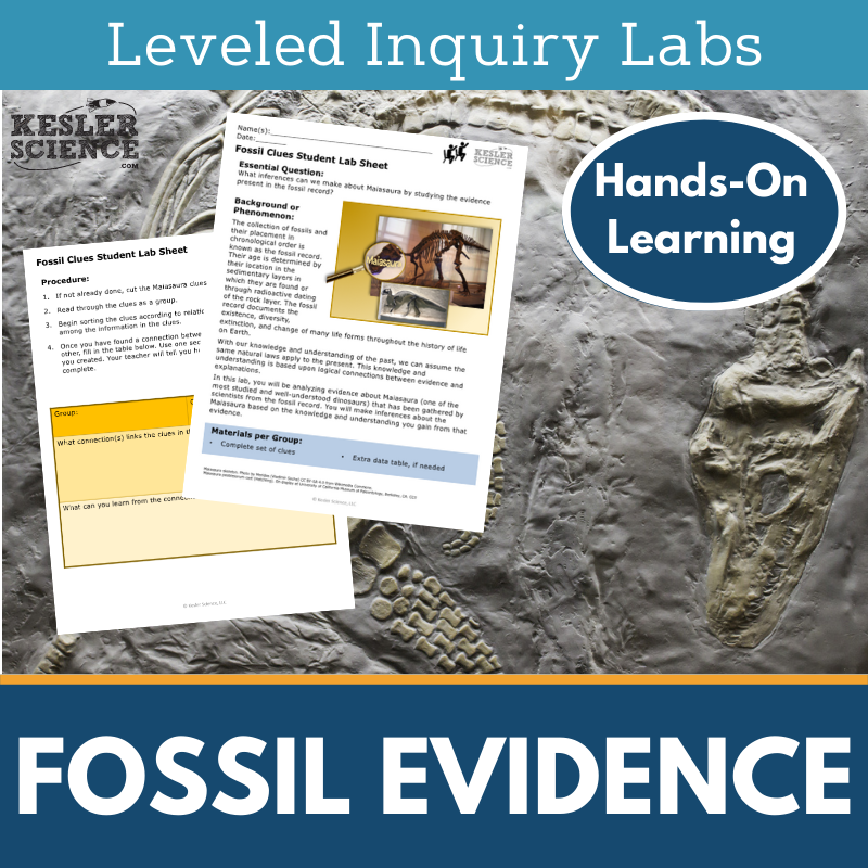Fossil Evidence Inquiry Lab - NGSS MS LS4-1