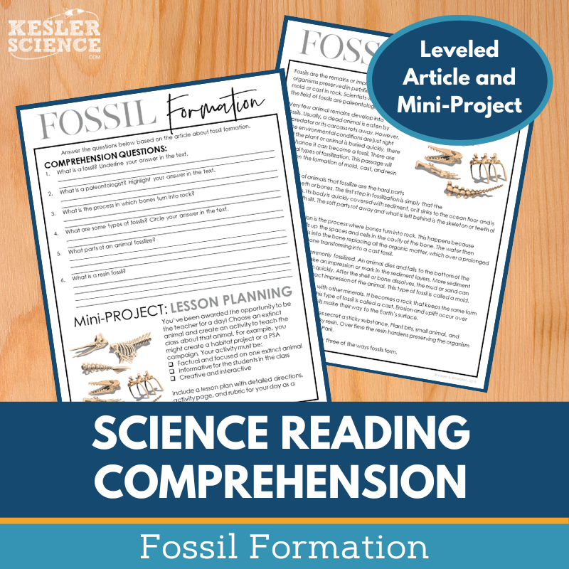 MS 6th 7th 8th Science Reading Comprehension Passages - Fossil Formation