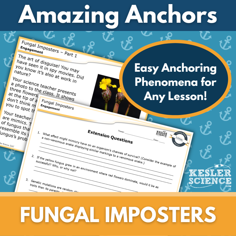 Amazing Anchors Variations in Populations (Fungal Imposters) - MS 6-8