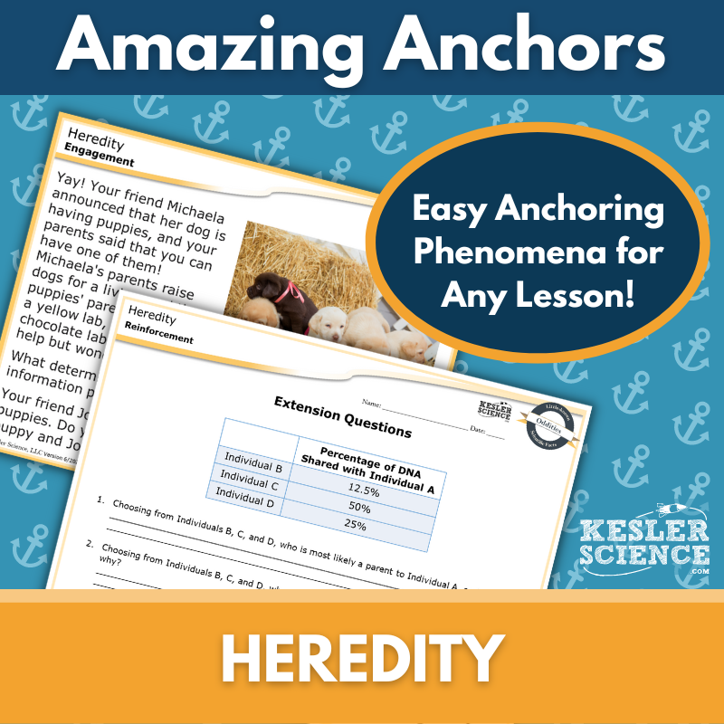 Amazing Anchors Genetics (Heredity) - MS 6-8