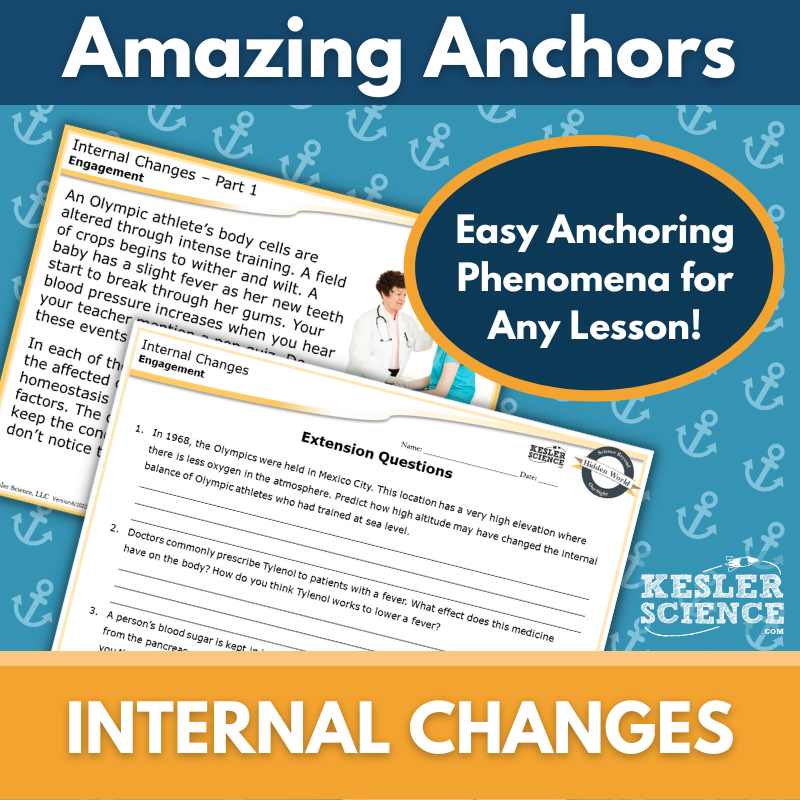 Amazing Anchors Responding to Internal Stimuli (Internal Changes) - MS 6-8