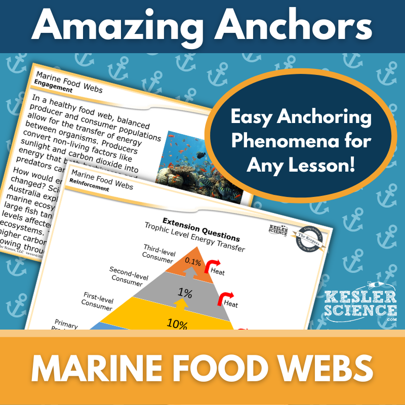 Amazing Anchors Food Webs & Food Chains (Marine) - MS 6-8