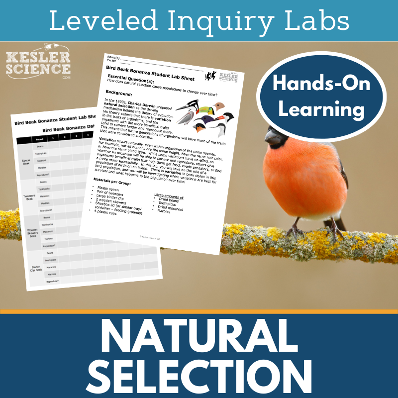 Natural Selection Inquiry Lab - NGSS MS LS1-5, LS4-6 - TEKS 6-8