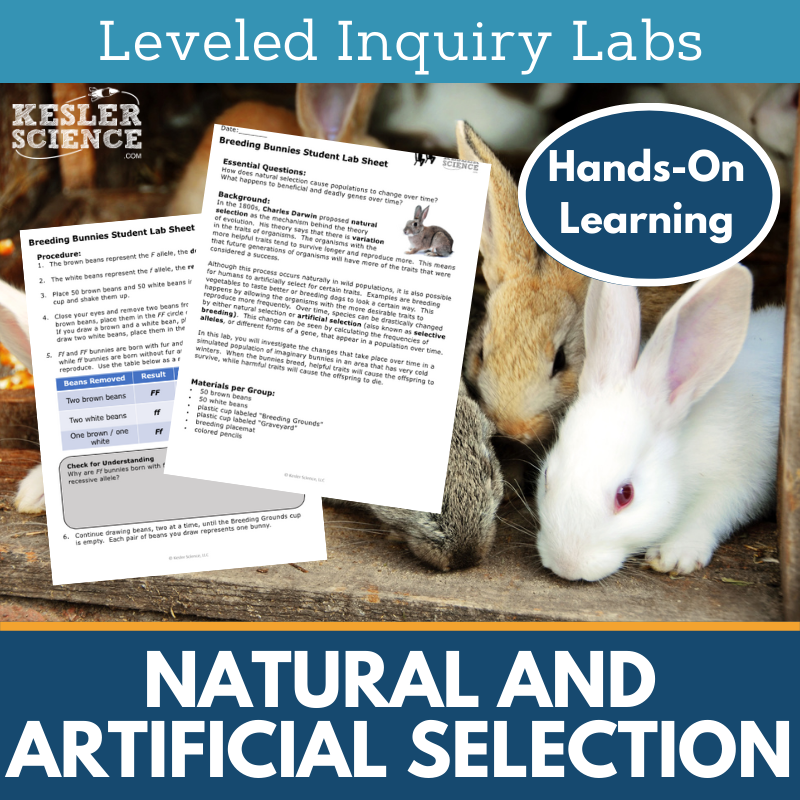 Natural & Artificial Selection Inquiry Lab - NGSS MS LS1-5, LS4-6 TEKS 6-8