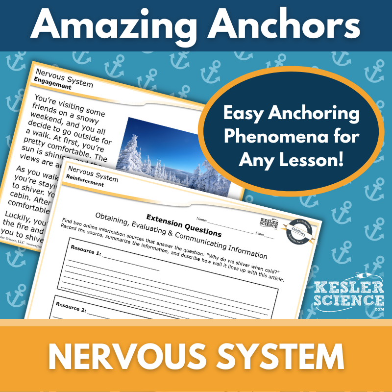 Amazing Anchors - Nervous System - NGSS MS LS1-8, MS 6-8