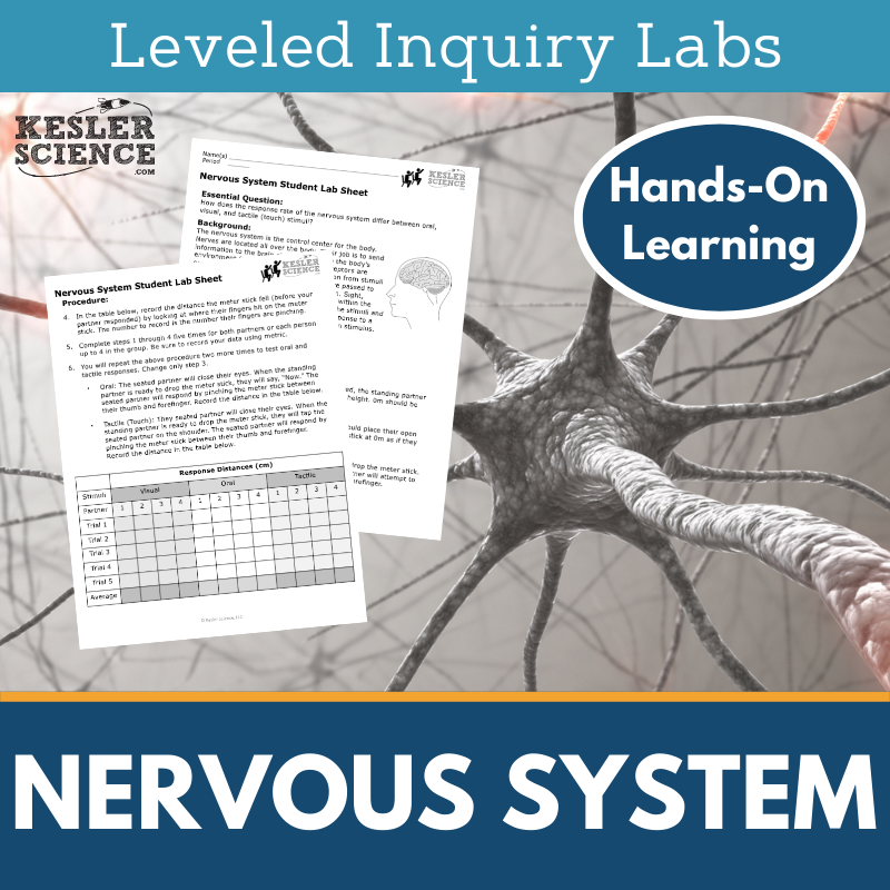 Nervous System Inquiry Lab - MS NGSS LS1-8, TEKS 6-8