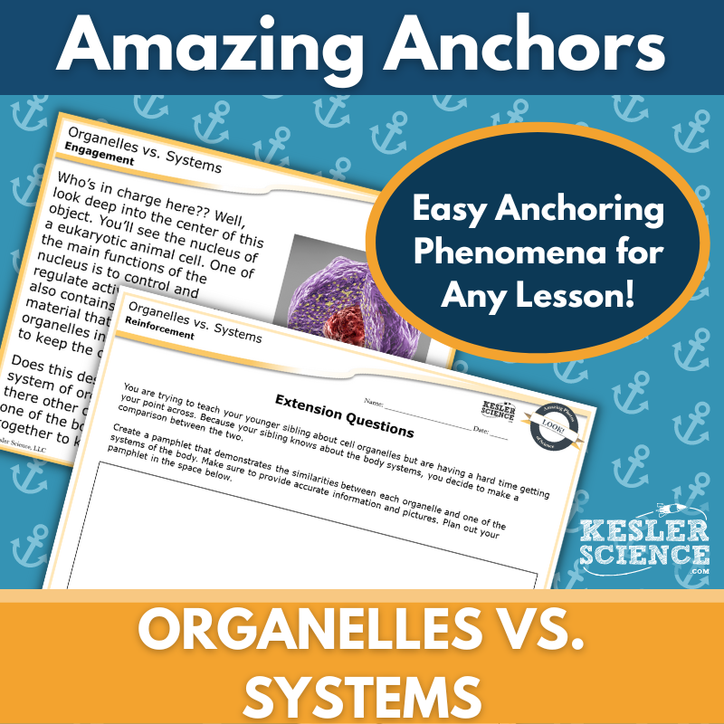 Amazing Anchors Cells vs Systems (Organelles) - MS 6-8