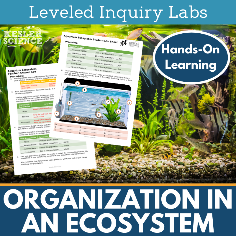 Organization in an Ecosystem Inquiry Lab - MS 6-8 Science TEKS