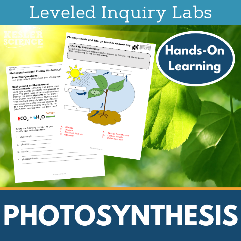 Photosynthesis Inquiry Lab - NGSS MS LS1-6, TEKS 6-8