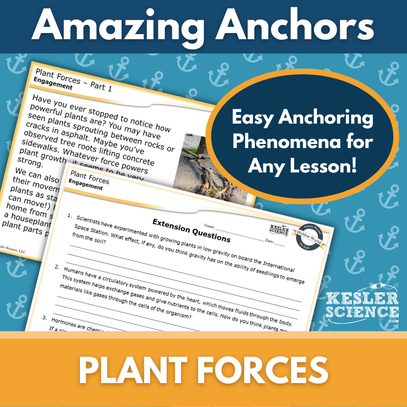 Amazing Anchors Tropisms & Turgor Pressure (Plant Forces) - MS 6-8