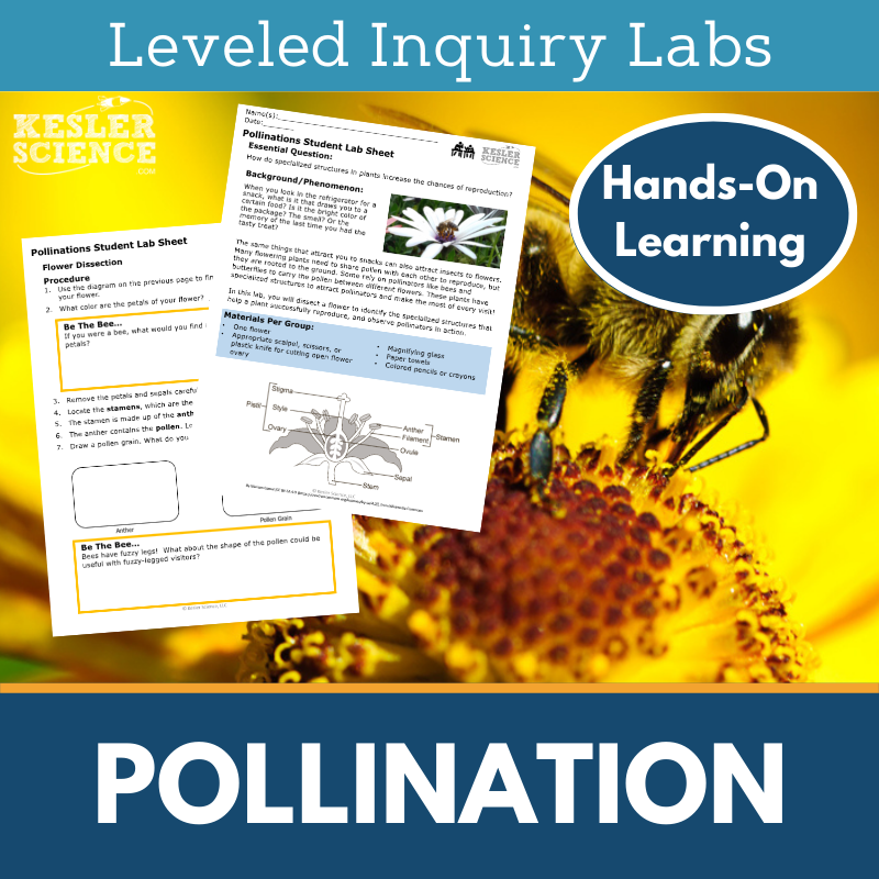 Pollination Inquiry Lab - NGSS MS LS1-4