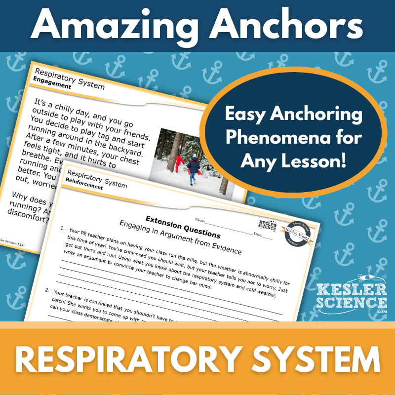 Amazing Anchors - Respiratory System - MS 6-8
