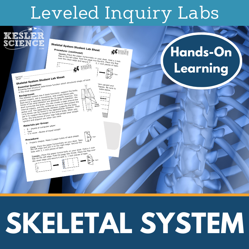 Skeletal System Inquiry Lab - MS 6-8 Science TEKS
