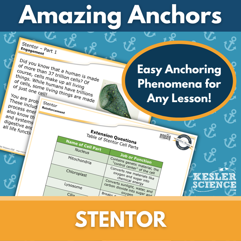 Amazing Anchors Cell Parts & Functions (Stentor) - NGSS MS LS1-2