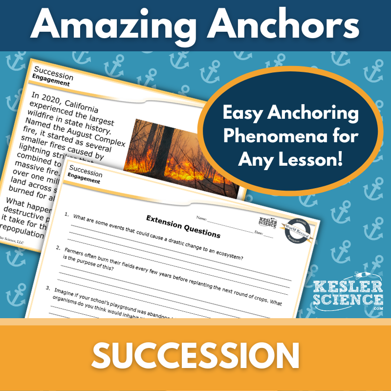 Amazing Anchors Ecological Succession - MS 6-8